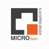 Microteam