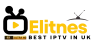 Elitnes