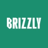 Brizzly