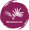 Mimosaroot.com