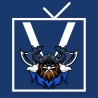 viking iptv