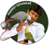 Parrot Dipankar Store
