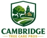 Cambridge Tree Care Pros