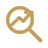 Professional SEO Services